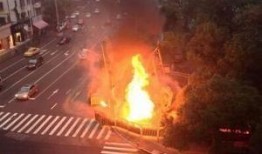 最新温州爆料事件视频,视频揭露惊人真相，引发社会广泛关注